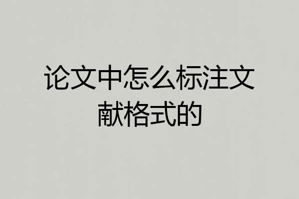 论文中怎么标注文献格式的