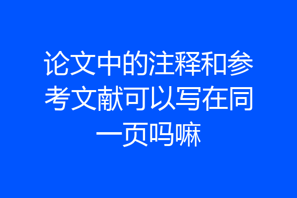 论文中的注释和参考文献可以写在同一页吗嘛