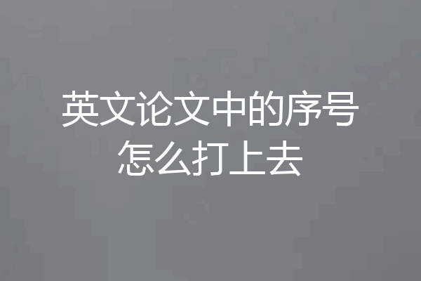 英文论文中的序号怎么打上去