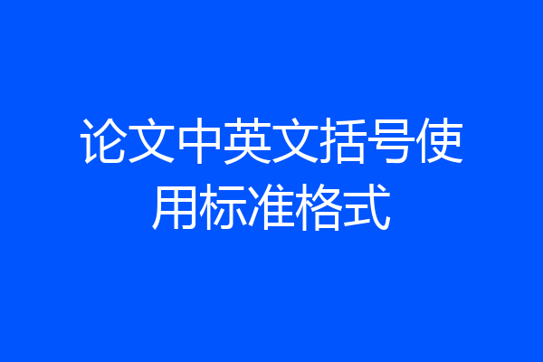 论文中英文括号使用标准格式