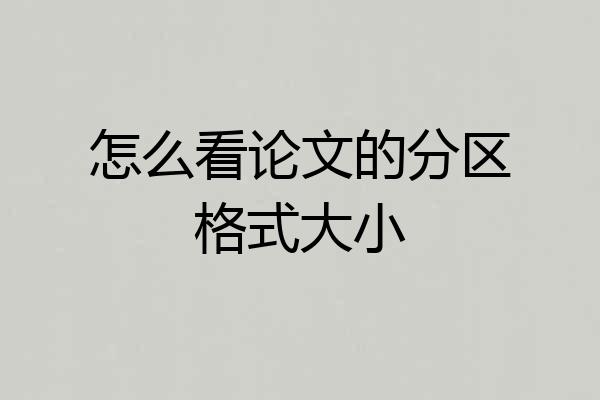 怎么看论文的分区格式大小