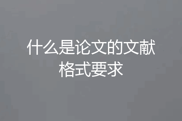 什么是论文的文献格式要求