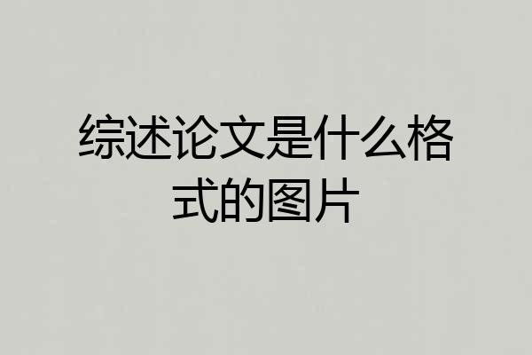 综述论文是什么格式的图片