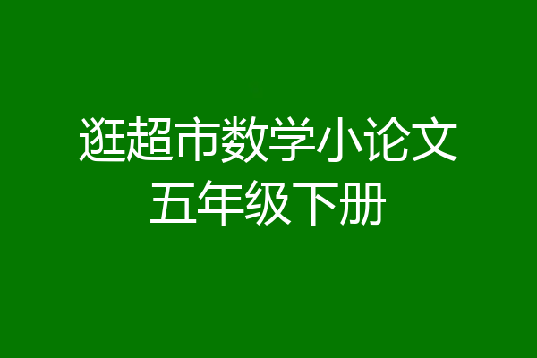逛超市数学小论文五年级下册