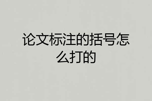 论文标注的括号怎么打的
