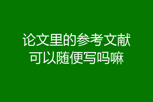 论文里的参考文献可以随便写吗嘛