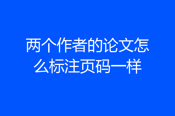 两个作者的论文怎么标注页码一样