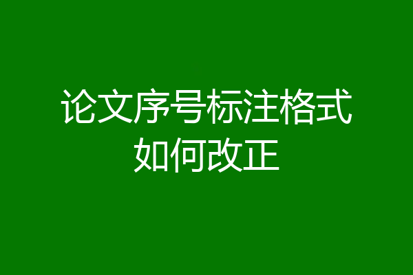 论文序号标注格式如何改正