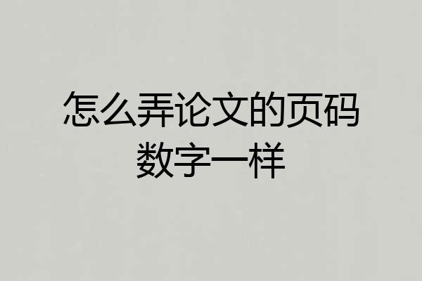 怎么弄论文的页码数字一样