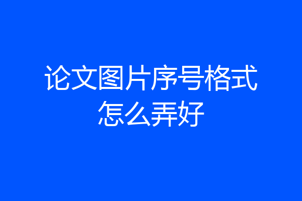 论文图片序号格式怎么弄好