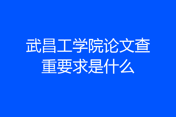武昌工学院论文查重要求是什么