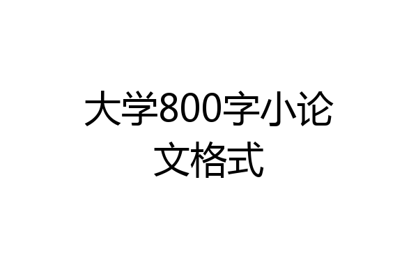 大学800字小论文格式