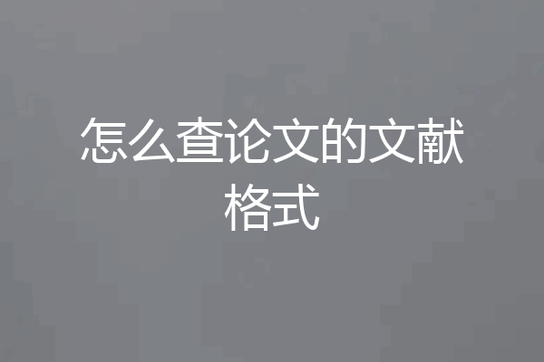 怎么查论文的文献格式