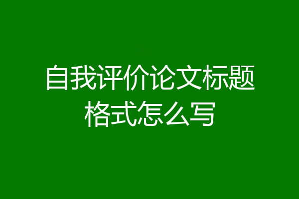 自我评价论文标题格式怎么写