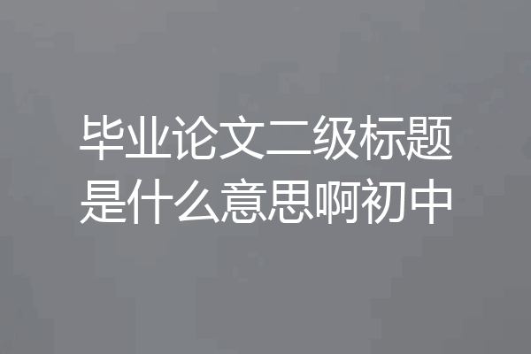 毕业论文二级标题是什么意思啊初中