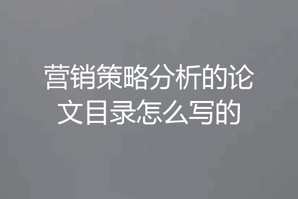 营销策略分析的论文目录怎么写的