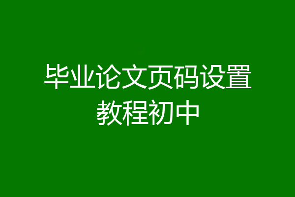 毕业论文页码设置教程初中
