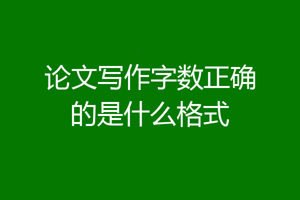 论文写作字数正确的是什么格式