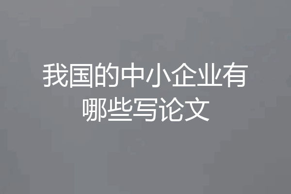 我国的中小企业有哪些写论文