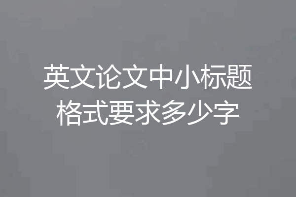 英文论文中小标题格式要求多少字