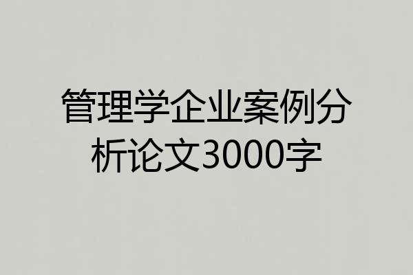 管理学企业案例分析论文3000字