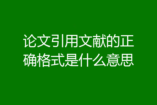 论文引用文献的正确格式是什么意思