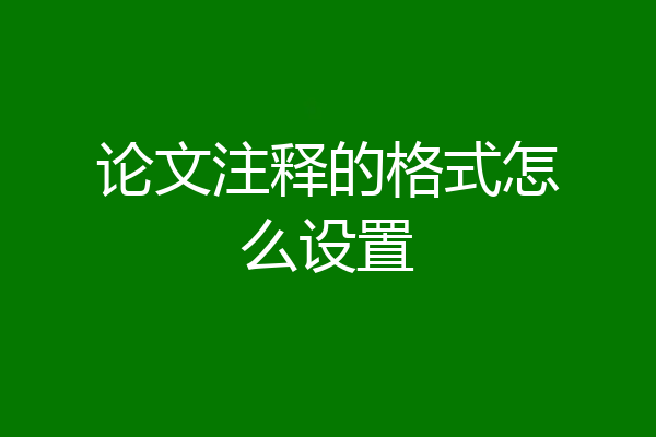 论文注释的格式怎么设置