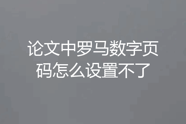 论文中罗马数字页码怎么设置不了