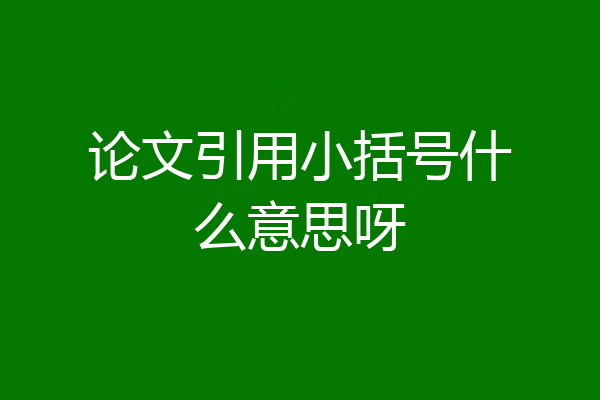 论文引用小括号什么意思呀