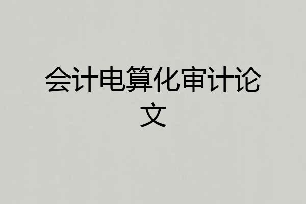 会计电算化审计论文