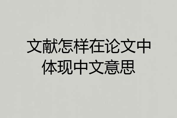 文献怎样在论文中体现中文意思