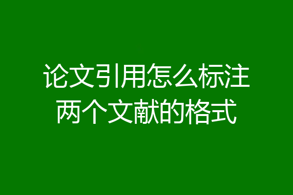 论文引用怎么标注两个文献的格式