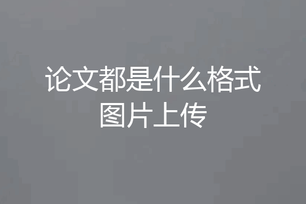 论文都是什么格式图片上传