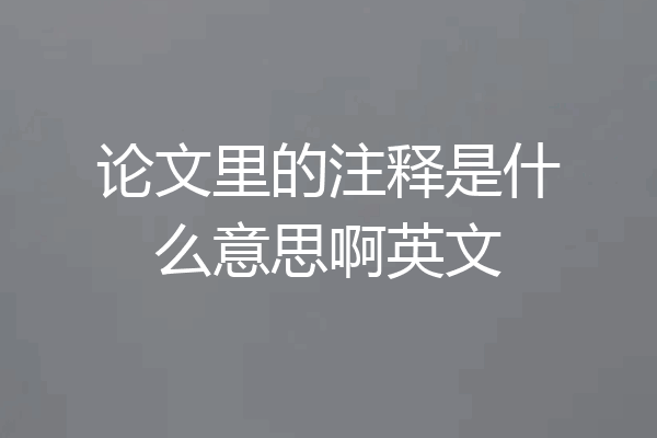 论文里的注释是什么意思啊英文