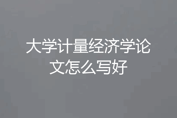 大学计量经济学论文怎么写好