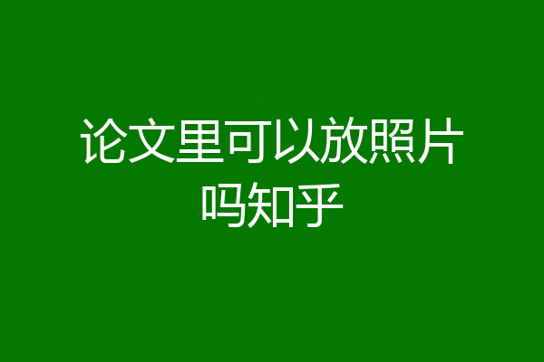 论文里可以放照片吗知乎