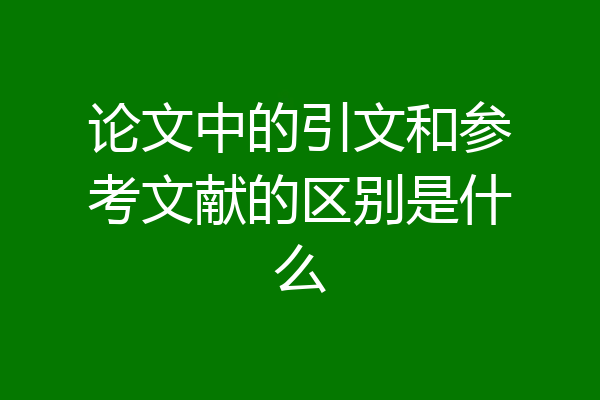 论文中的引文和参考文献的区别是什么