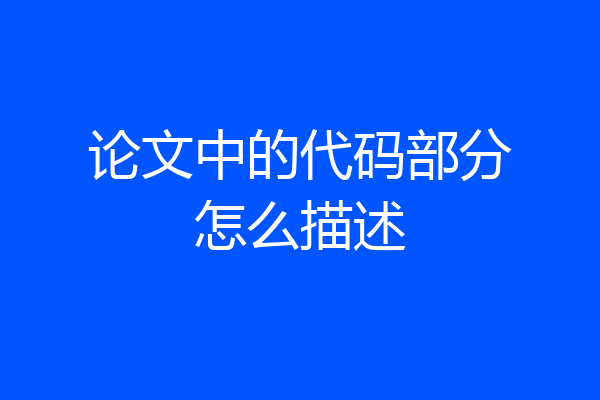 论文中的代码部分怎么描述
