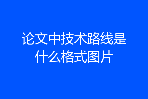 论文中技术路线是什么格式图片