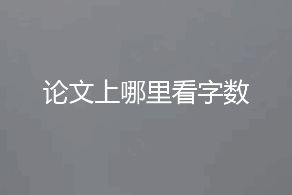 论文上哪里看字数