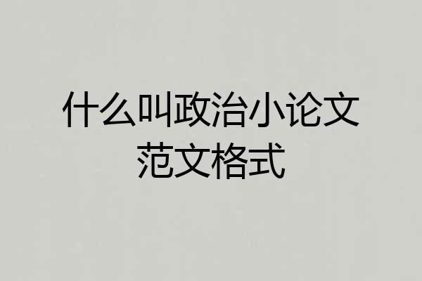 什么叫政治小论文范文格式