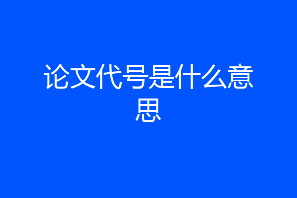 论文代号是什么意思
