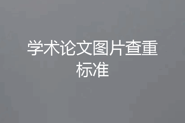 学术论文图片查重标准