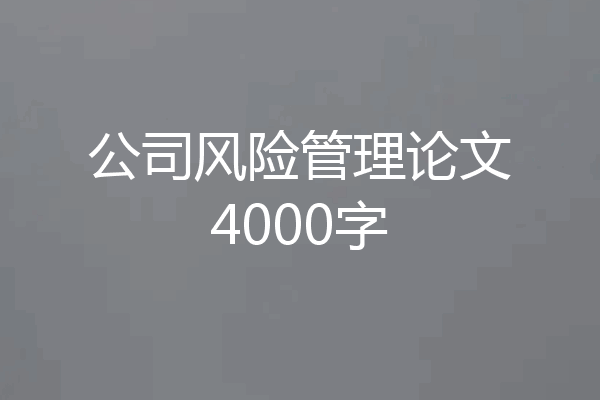 公司风险管理论文4000字