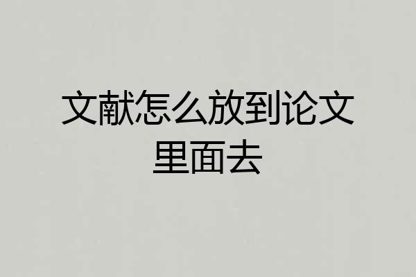 文献怎么放到论文里面去