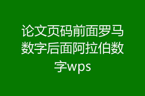 论文页码前面罗马数字后面阿拉伯数字wps