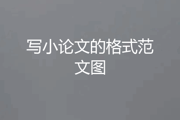写小论文的格式范文图