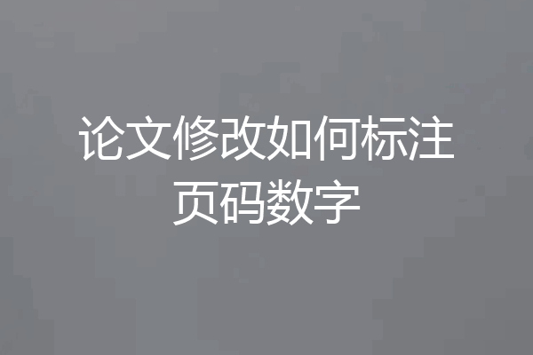 论文修改如何标注页码数字
