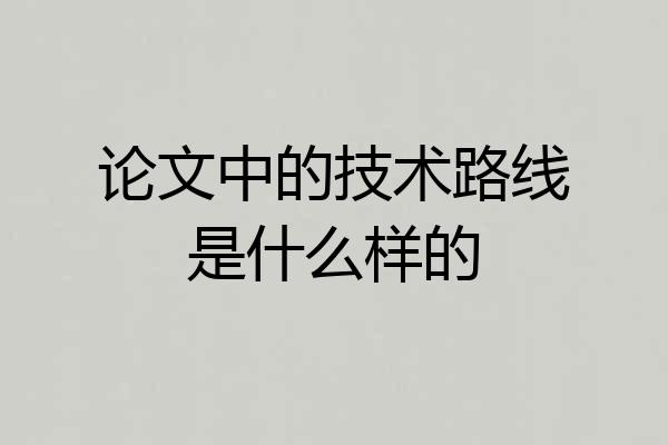 论文中的技术路线是什么样的
