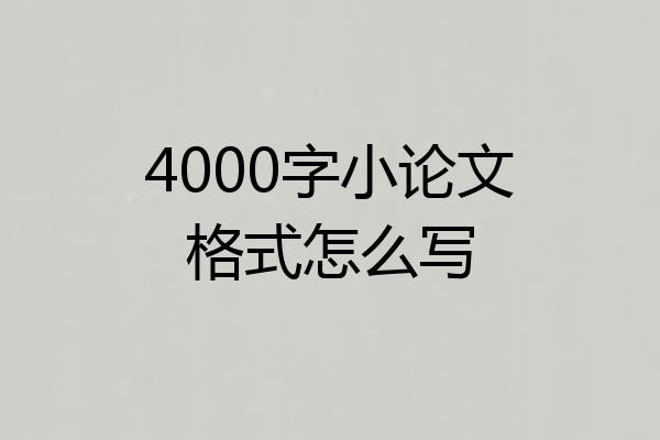 4000字小论文格式怎么写